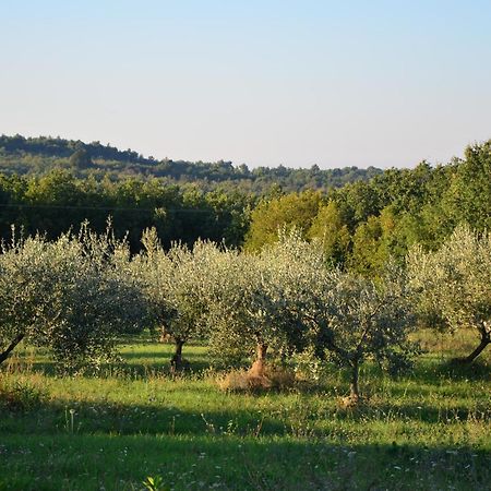 Villa Olivetta By Istrian Country Houses Barat  エクステリア 写真