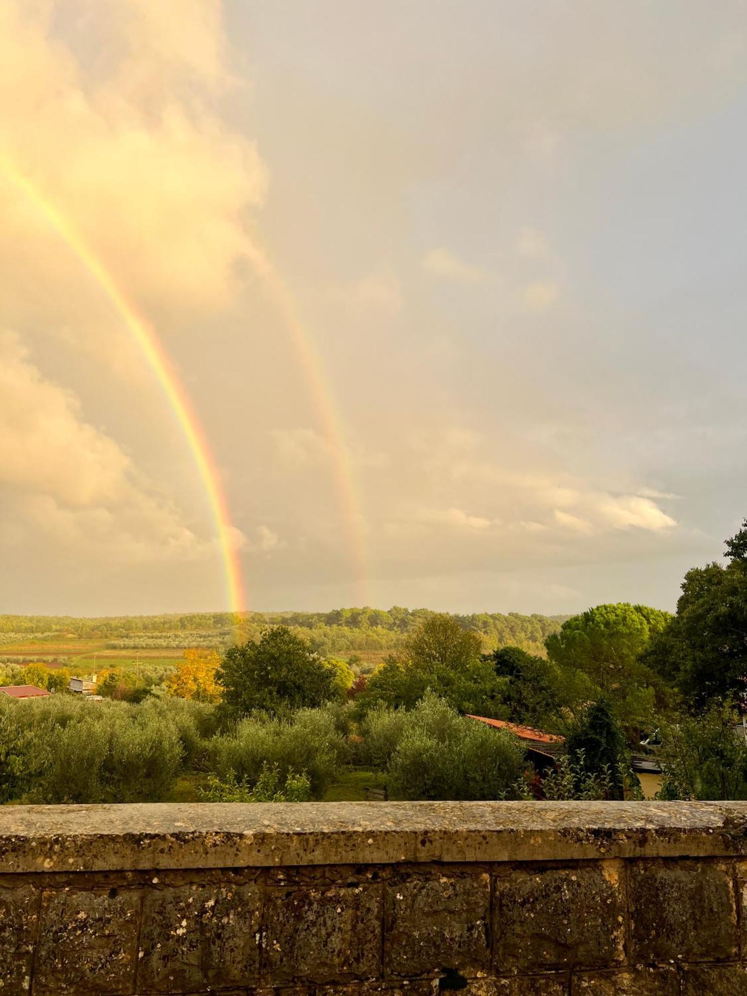 Villa Olivetta By Istrian Country Houses Barat  エクステリア 写真