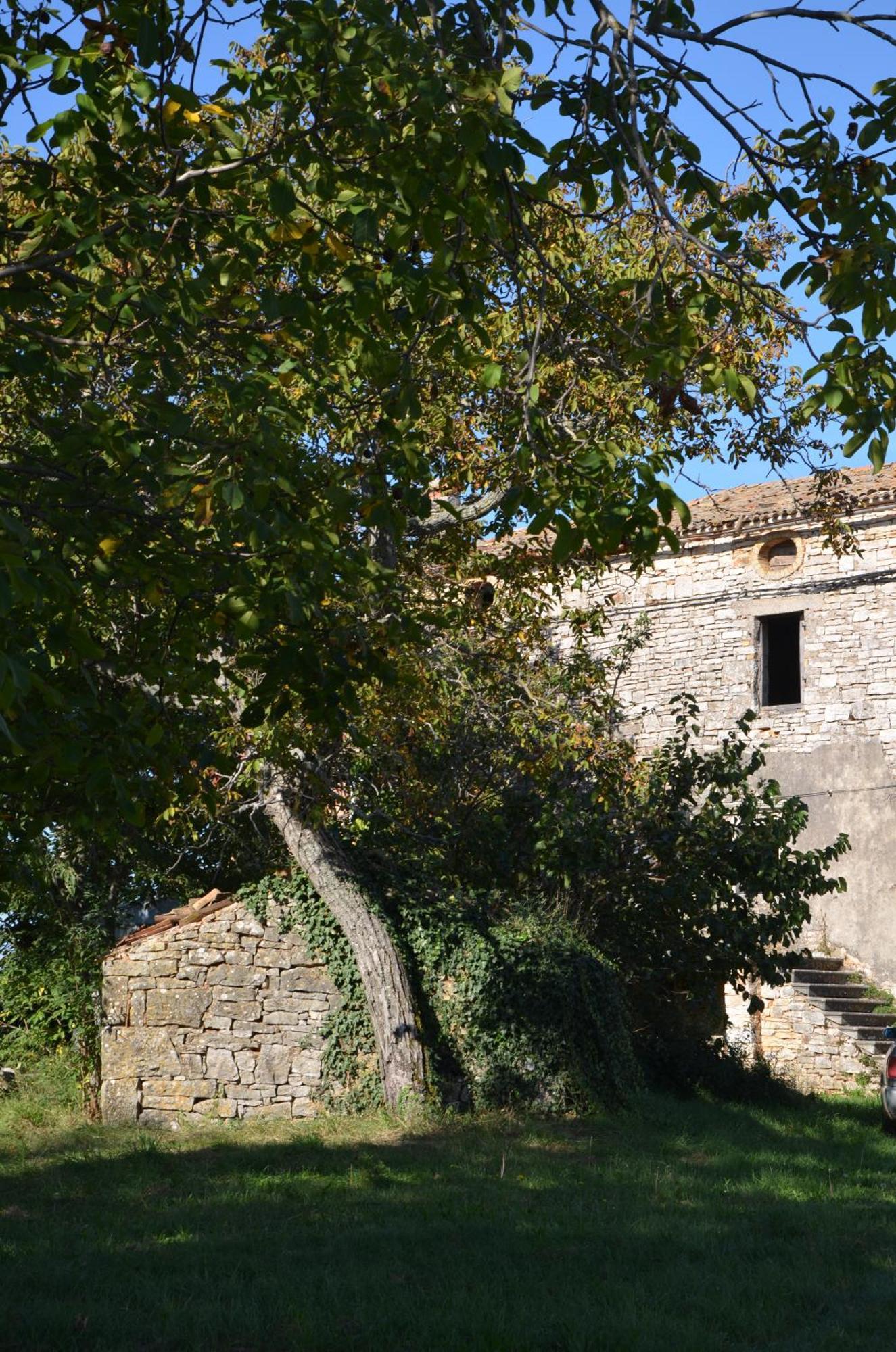 Villa Olivetta By Istrian Country Houses Barat  エクステリア 写真