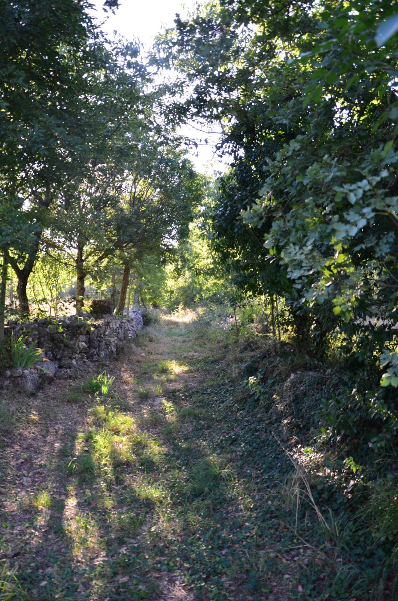 Villa Olivetta By Istrian Country Houses Barat  エクステリア 写真