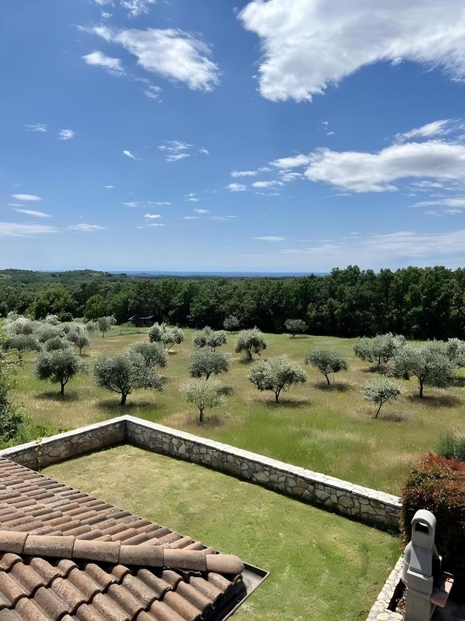 Villa Olivetta By Istrian Country Houses Barat  エクステリア 写真