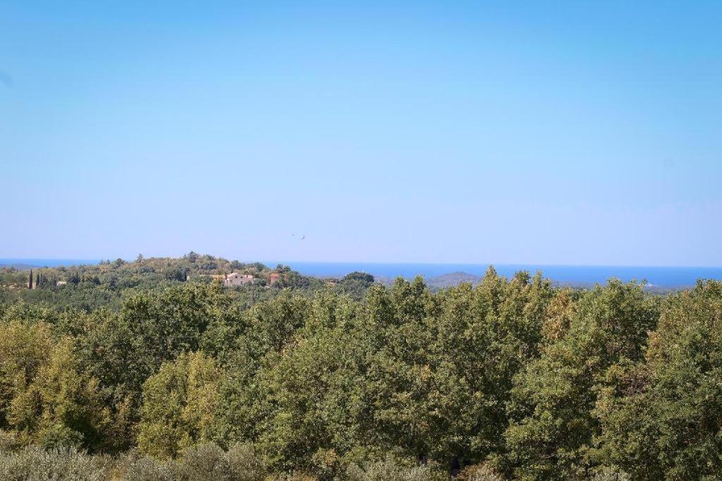 Villa Olivetta By Istrian Country Houses Barat  エクステリア 写真